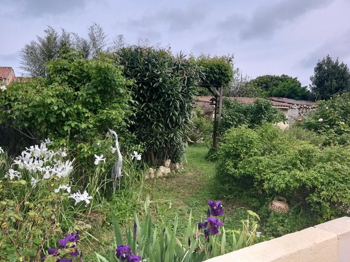 Hébergement de vacances Maison Althea Rosea - 3 Et Piscine *